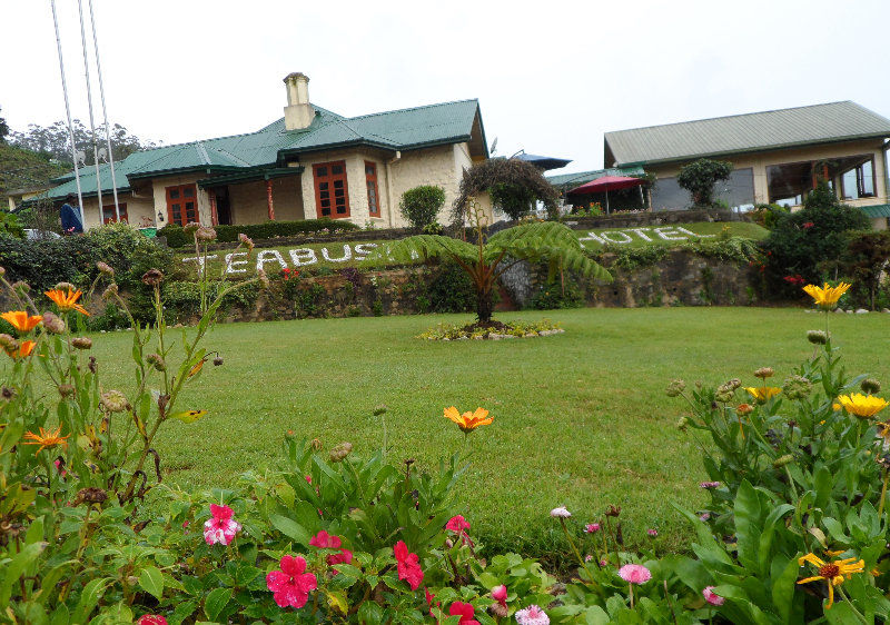 Tea Bush Hotel Nuwara Eliya Eksteriør bilde